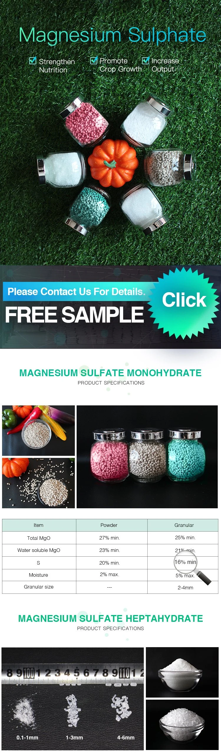 Magnesium Sulphate 99.5% Fertilizer CAS 14168-73-1 10034-99-8 7487-88-9 Mgso4 Price Magnesium Sulfate