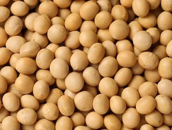 Sal de Epsom heptahidratada de sulfato de magnesio de grado alimenticio Laiyu China